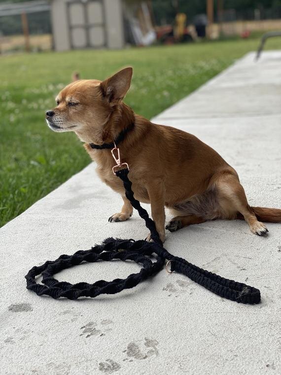Personalized Macramé Dog Leash