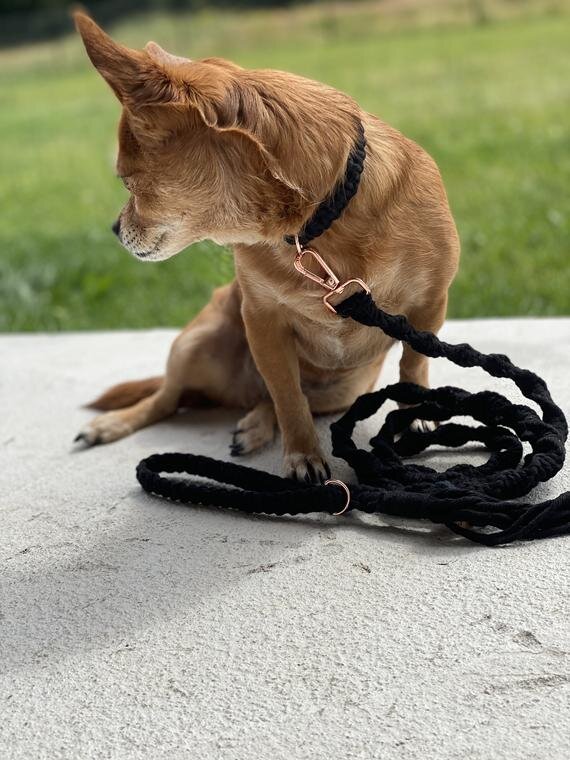 Personalized Macramé Dog Leash