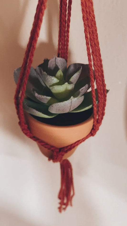 Mini plant hanger